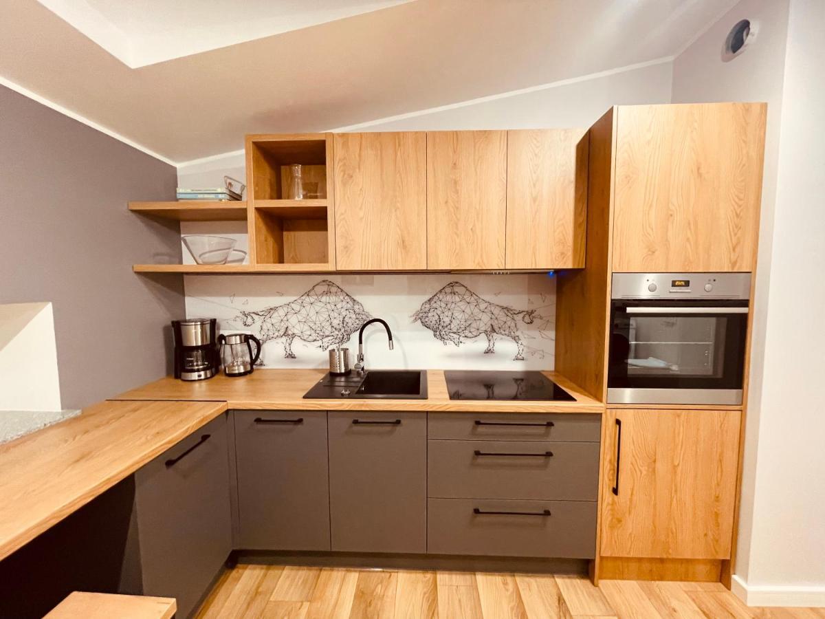 Apartamenty Ktw Kosciuszki 41 - Sky & Design Κατοβίτσε Εξωτερικό φωτογραφία